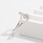 13ce70c5-1d6e-4971-aa15-60c42e3b352a-Max