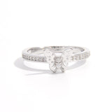 35f54638-d97f-44ec-b078-c95b27e1d9e4-Max