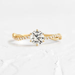 46863ebd-365e-4126-901d-6010b42b5b58-Max