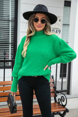 Angel Wings Turtle Neck Long Sleeve Pullover Sweater