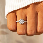 6079581e-9ee3-40d3-835a-f4ab4664dc7a-Max