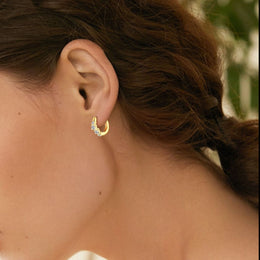 fe02db59-8a6e-4453-aaf8-7a046c2aa960-Max